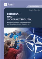 Joachim Schweizer - Friedens- und Sicherheitspolitik