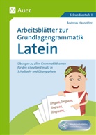 Andreas Hausotter - Arbeitsblätter zur Grundlagengrammatik Latein, m. 1 CD-ROM