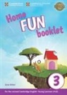 Jane Ritter - Storyfun Level 3 Home Fun Booklet