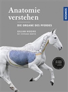 Gillia Higgins, Gillian Higgins, Stephanie Martin - Anatomie verstehen - Die Organe des Pferdes