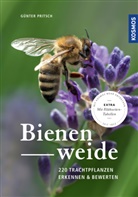 Günter Pritsch - Bienenweide