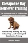 Brittany Boykin - Chesapeake Bay Retriever Training