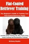 Brittany Boykin - Flat-Coated Retriever Training