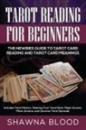 Shawna Blood - Tarot Reading for Beginners