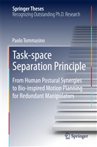 Paolo Tommasino - Task-space Separation Principle