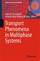 Antonio Gilson Barbosa de Lima, João M. P. Q. Delgado, João M.P.Q. Delgado, Gilson Barbosa de Lima, Gilson Barbosa de Lima, Joã M P Q Delgado... - Transport Phenomena in Multiphase Systems