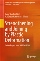 Uday Shanker Dixit, Ganesh Narayanan, Ganesh Narayanan, R. Ganesh Narayanan, Uda Shanker Dixit, Uday Shanker Dixit - Strengthening and Joining by Plastic Deformation