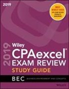 Wiley - Wiley Cpaexcel Exam Review 2019 Study Guide