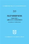 Radoslav Dimitric, DIMITRIC RADOSLAV - Slenderness: Volume 1, Abelian Categories