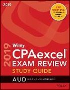 Wiley - Wiley Cpaexcel Exam Review 2019 Study Guide