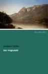 Adalbert Stifter - Der Hagestolz