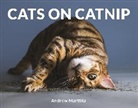 Andrew Marttila, Marttila Andrew - Cats on Catnip