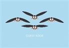 I Like Birds, Stuart Cox - I Like Birds: Flying Puffins Guest Book