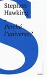 Stephen Hawking - Perché l'universo?