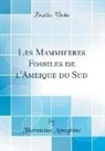Florentino Ameghino - Les Mammifer`es Fossiles de l'Amerique du Sud (Classic Reprint)