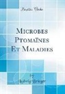 Ludwig Brieger - Microbes Ptomaïnes Et Maladies (Classic Reprint)