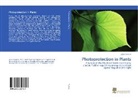 Lazar Pavlovic - Photoprotection in Plants