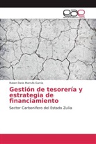 Ruben Dario Marrufo Garcia - Gestión de tesorería y estrategia de financiamiento