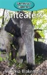 Victoria Blakemore - Anteaters