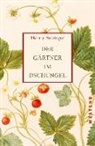 Helmut Salzinger - Der Gärtner im Dschungel