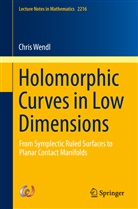 Chris Wendl - Holomorphic Curves in Low Dimensions