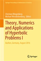 Christia Klingenberg, Christian Klingenberg, Westdickenberg, Westdickenberg, Michael Westdickenberg - Theory, Numerics and Applications of Hyperbolic Problems I