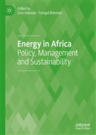 Sol Adesola, Sola Adesola, Brennan, Brennan, Feargal Brennan - Energy in Africa