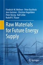 Pete Buchholz, Peter Buchholz, Jens Gutzmer, Christian Hagelüken, Peter Herzig, Ralf Littke... - Raw Materials for Future Energy Supply