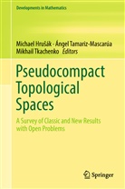 Michael Hru¿ák, Michael Hrusák, Michael Hrušák, Ánge Tamariz-Mascarúa, Ángel Tamariz-Mascarúa, Mikhail Tkachenko - Pseudocompact Topological Spaces