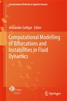 Alexande Gelfgat, Alexander Gelfgat - Computational Modelling of Bifurcations and Instabilities in Fluid Dynamics