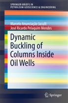 Marcelo Anunciaçã Jaculli, Marcelo Anunciação Jaculli, José Ricardo P Mendes, José Ricardo Pelaquim Mendes - Dynamic Buckling of Columns Inside Oil Wells