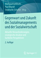 Pau Brandl, Paul Brandl, Waltraud Grillitsch, Stephanie Schuller - Gegenwart und Zukunft des Sozialmanagements und der Sozialwirtschaft