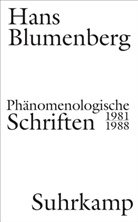 Hans Blumenberg, Nicol Zambon, Nicola Zambon - Phänomenologische Schriften