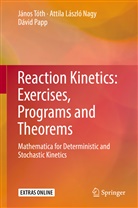 Attila L&aacute;szl Nagy, Attila Laszlo Nagy, Attila L&aacute;szl&oacute; Nagy, David Papp, D&aacute;vid Papp, Janos Toth... - Reaction Kinetics: Exercises, Programs and Theorems