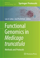 Lui A Cañas, Luis A Cañas, Jose P. Beltran, José P. Beltrán, José Pío Beltrán, Luis A. Canas... - Functional Genomics in Medicago truncatula