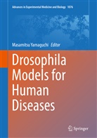 Masamits Yamaguchi, Masamitsu Yamaguchi - Drosophila Models for Human Diseases