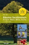 Rita Lüder - Bäume bestimmen - Knospen, Blüten, Blätter, Früchte