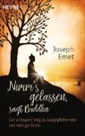 Joseph Emet - Nimm's gelassen, sagt Buddha