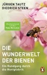 Diedrich Steen, Jürge Tautz, Jürgen Tautz - Die Wunderwelt der Bienen