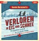 Davide Morosinotto, Nicolás Artajo, Reinhard Kuhnert, Gabrielle Pietermann - Verloren in Eis und Schnee, 2 Audio-CD, MP3 (Hörbuch)