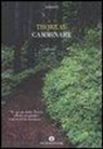 Henry D. Thoreau, M. Jevolella - Camminare