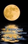 Nikola Tesla - Famous Scientific Illusions