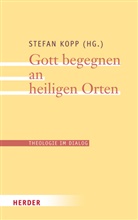 Stefan Kopp, Stefa Kopp (Professor), Stefan Kopp (Professor) - Theologie im Dialog