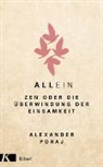 Alexander Poraj, Alexander (Dr.) Poraj - AllEin