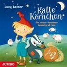 Lucy Astner - Kalle Körnchen. Ein kleiner Sandmann kommt groß raus, 1 Audio-CD (Hörbuch)