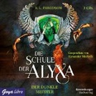 R L Ferguson, R. L. Ferguson - Die Schule der Alyxa - Der Dunkle Meister, 3 Audio-CDs (Hörbuch)