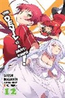 29 (Oniku), Satoshi Wagahara, Satoshi Wagahara, Wagahara Satoshi - The Devil Is a Part-Timer!, Vol. 12 (light novel)