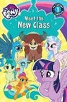 Jennifer Fox, Hasbro - Meet the New Class