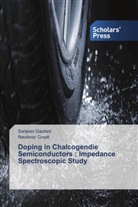 Sanjee Gautam, Sanjeev Gautam, Navdeep Goyal - Doping in Chalcogendie Semiconductors : Impedance Spectroscopic Study