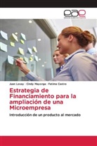 Fatima Castro, Jua Losay, Juan Losay, Cind Mayorga, Cindy Mayorga - Estrategia de Financiamiento para la ampliación de una Microempresa